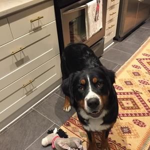 Meet your Posher, Nikki